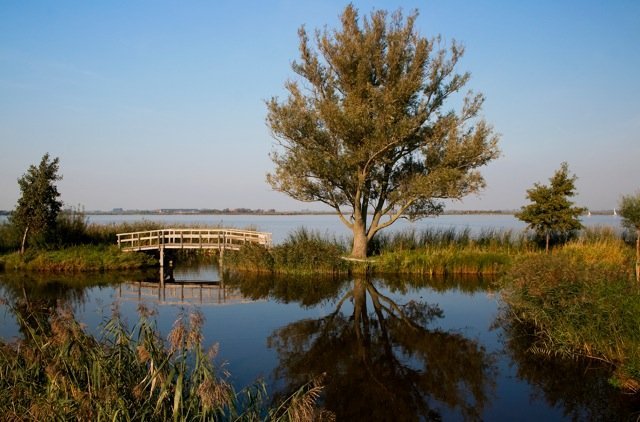 Natuurgebied Het Zwet - Wormer
